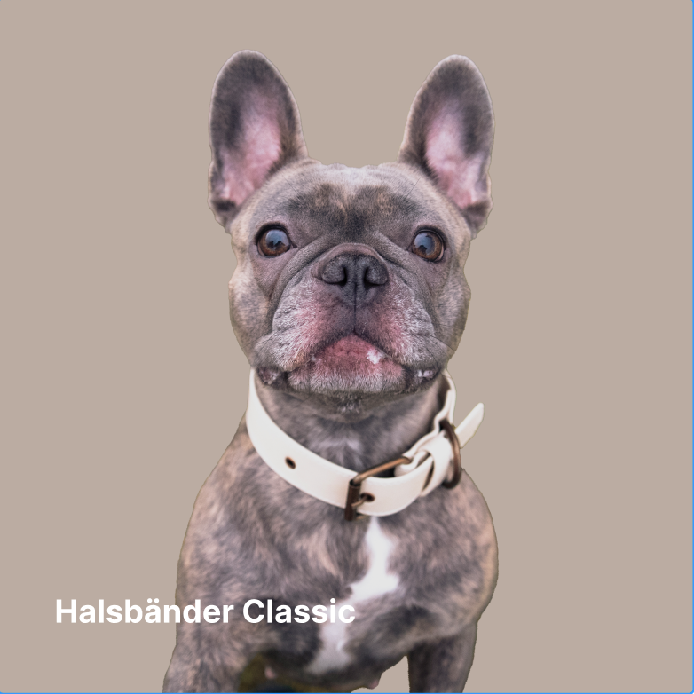 Halsbänder